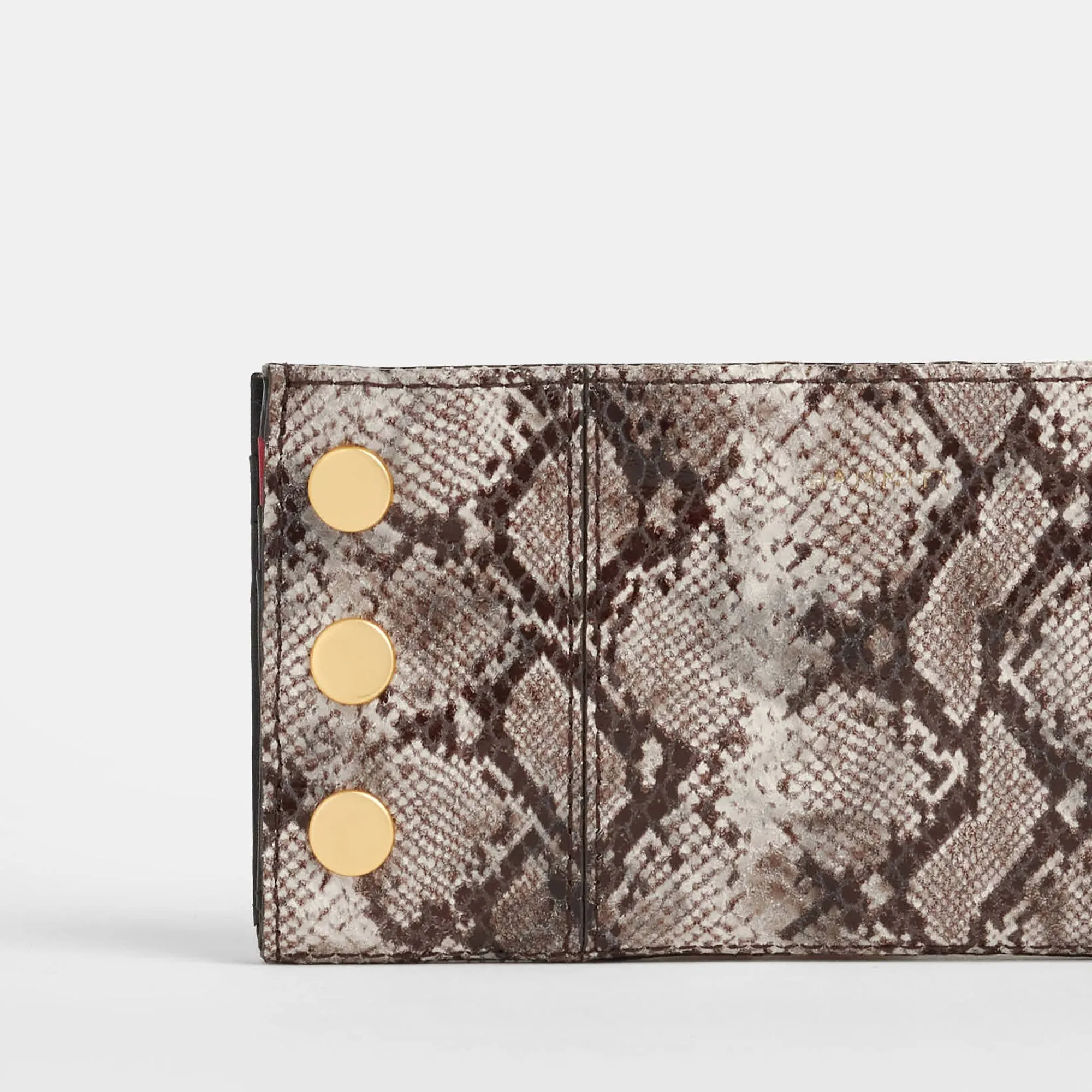 110 North | Contrast Snake/Brushed Gold