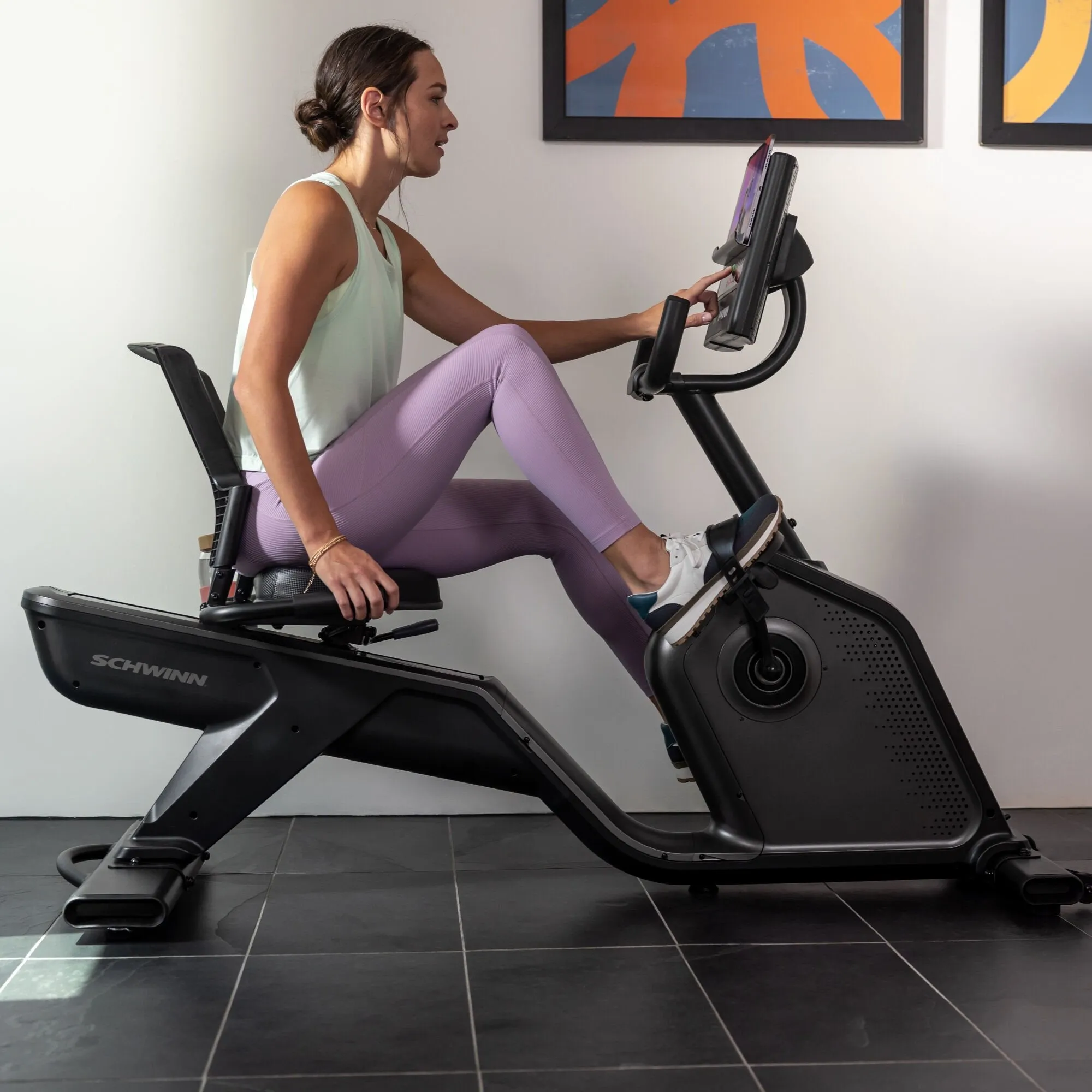 290 Recumbent Bike