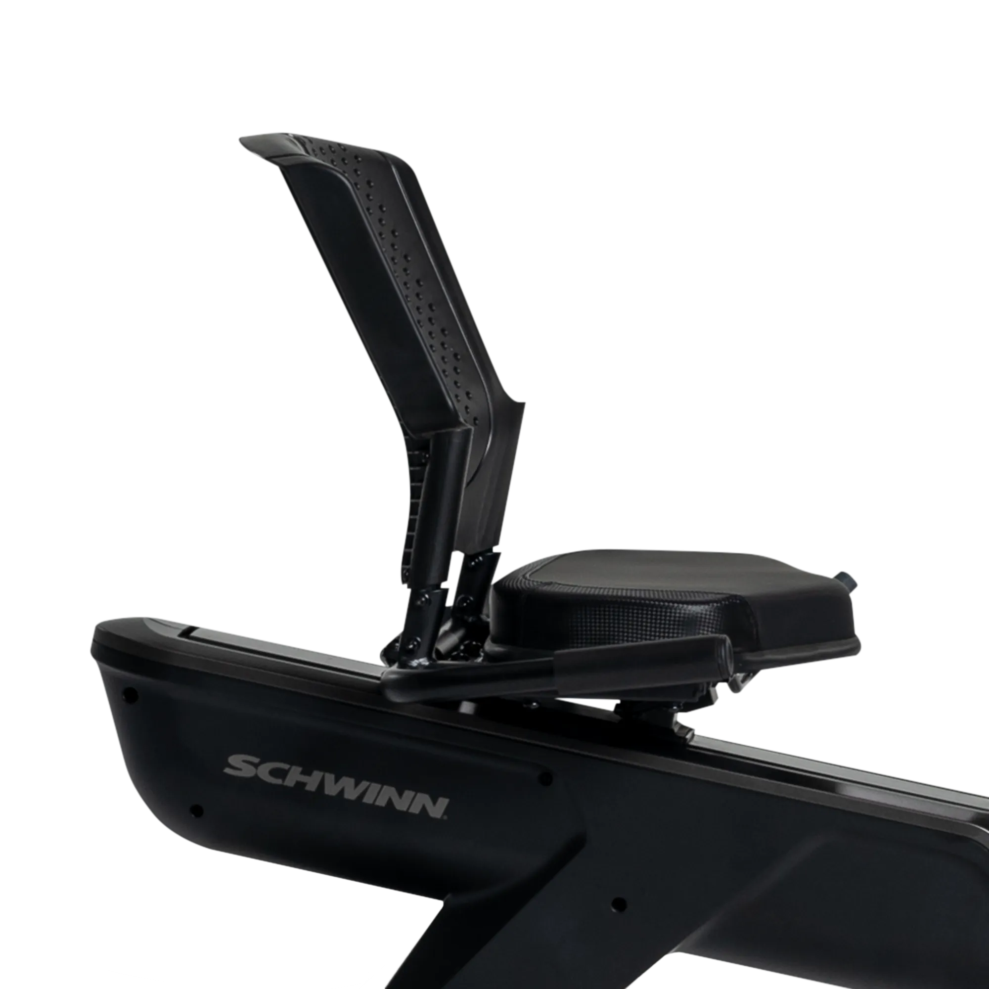290 Recumbent Bike