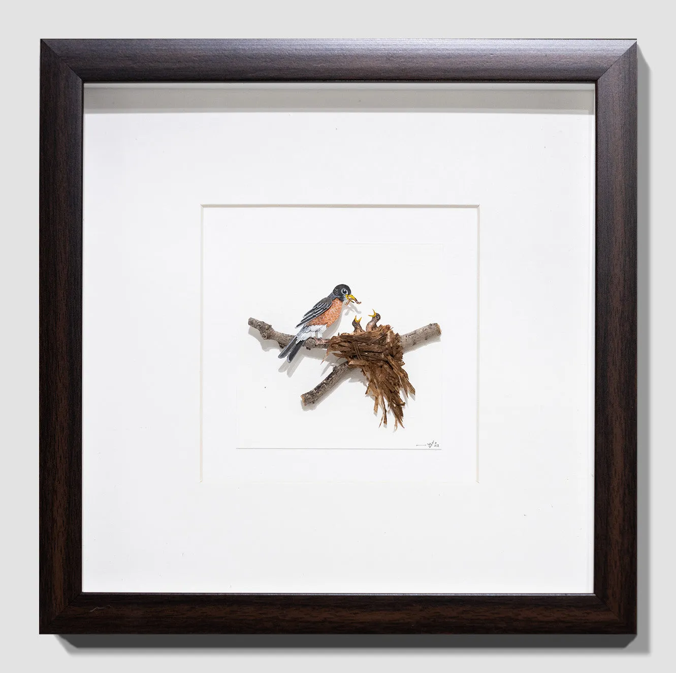 American Kestrel