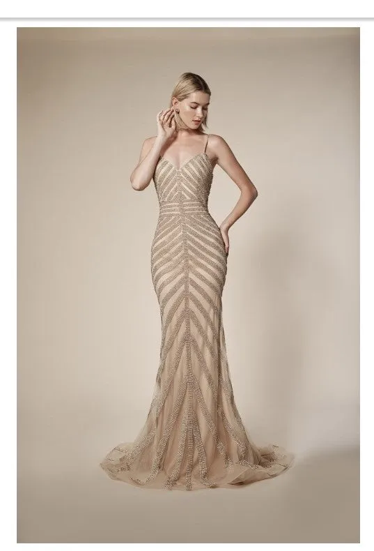 Andrea & Leo Couture A0253 Ladies Prom Dress, Special Occasion Dress