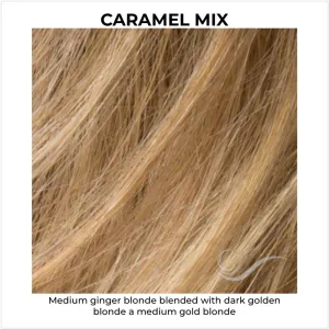 Apart Hi by Ellen Wille (Lace Front Wig)