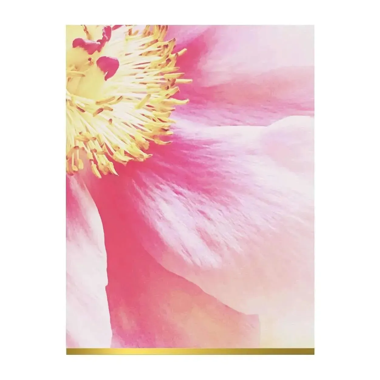Ashley Woodson Bailey Greeting Assortment Notecard Set