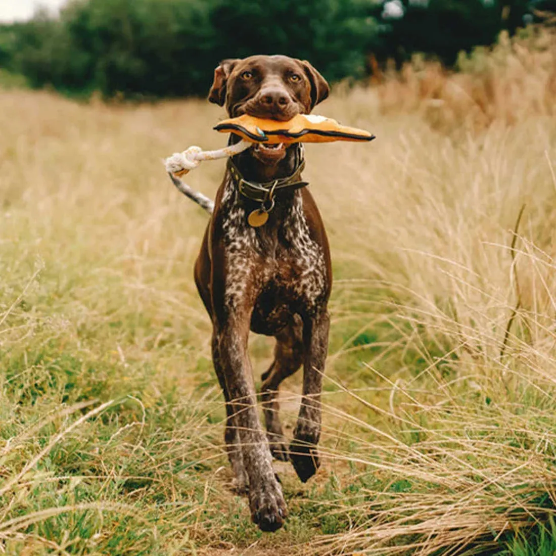 Beco Rough & Tough Recycled Kangaroo Dog Toy