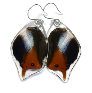 Butterfly Earrings, Violet Banded Palla, Bottom Wing