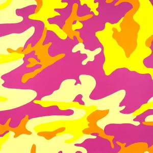 Camouflage FSII 409 Portfolio by Andy Warhol