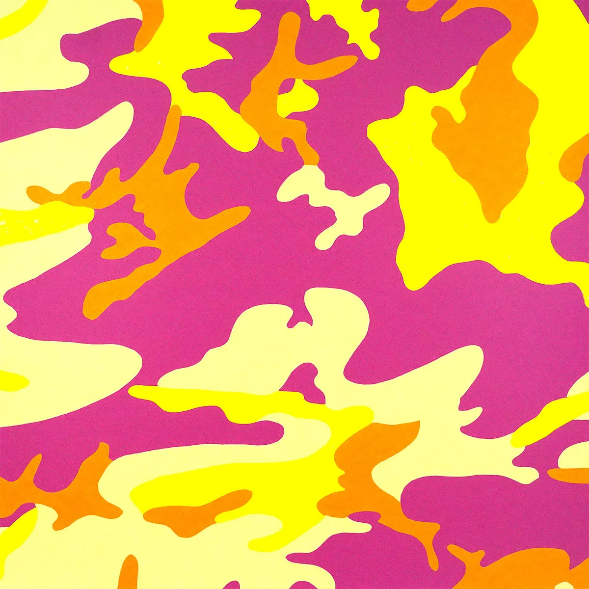 Camouflage FSII 409 Portfolio by Andy Warhol