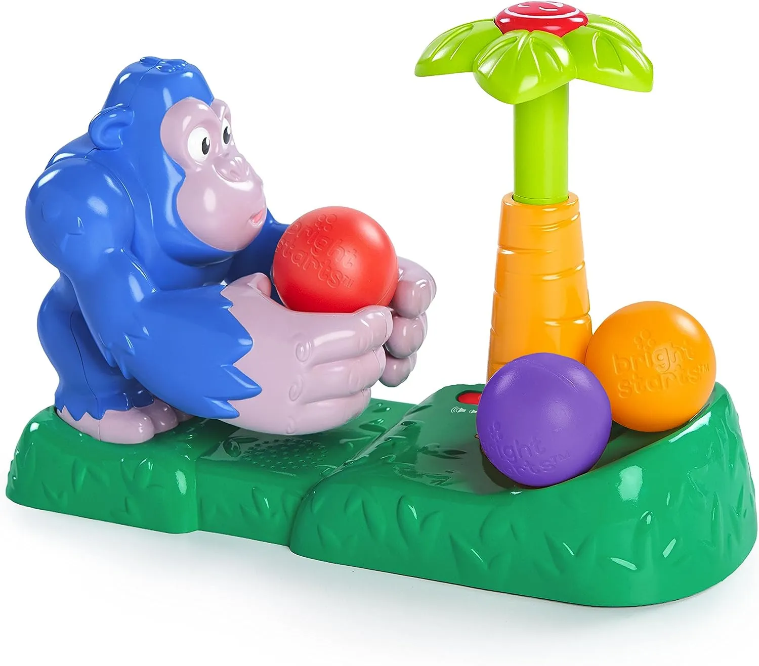 Coconut Catapult Activity Toy