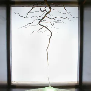 Connect (3)