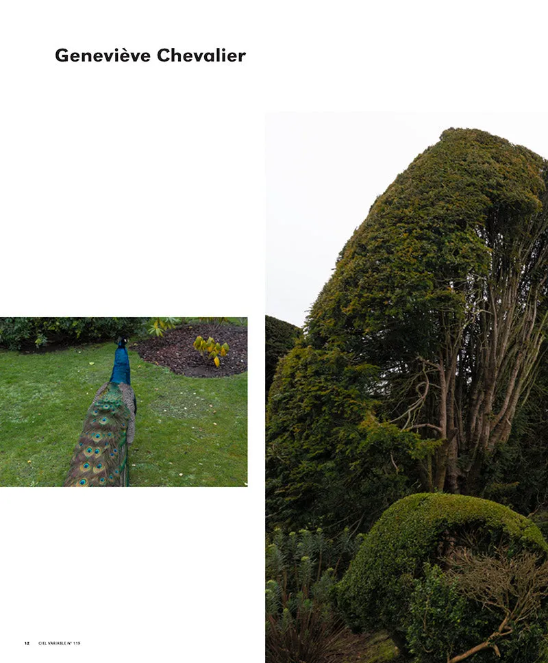CV119 -  Geneviève Chevalier, Mirement/Towering : La Ménagerie et L’Herbier — Sylvain Campeau