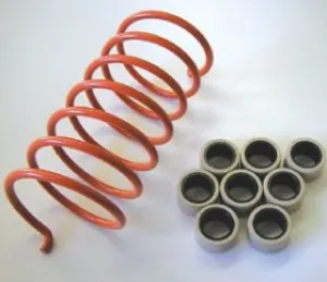 Dalton Clutch Kit - Suzuki King Quad 750
