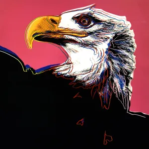 Endangered Species Portfolio  BALD EAGLE, FSIIB 296 (Trail Proof), 1983 by ANDY Warhol