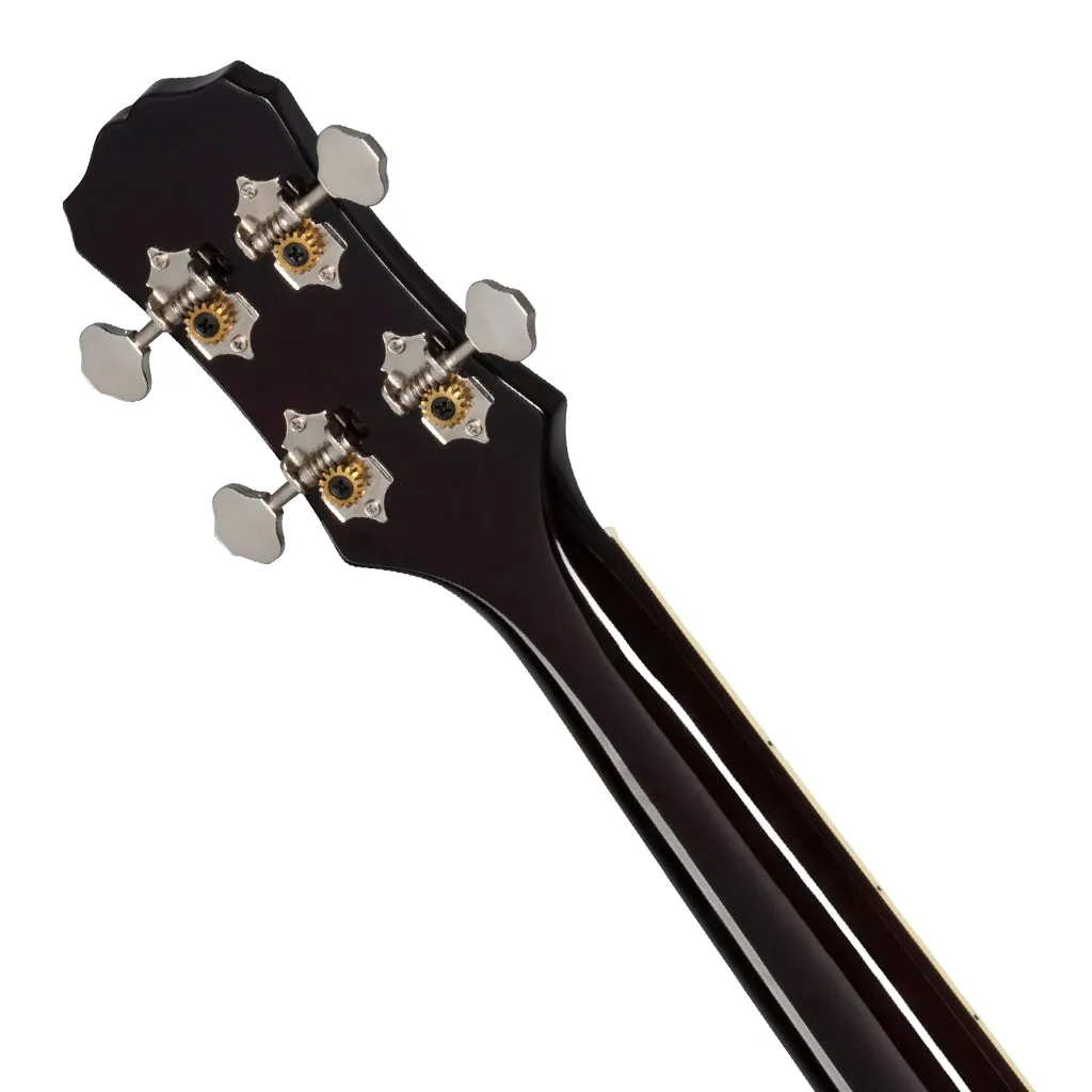 Epiphone LP AC/EL UKE Tenor VS