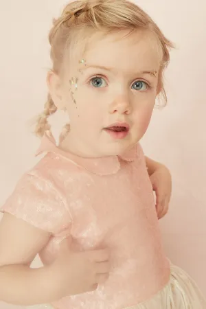 Fairy Tutu Bella Dress Pink
