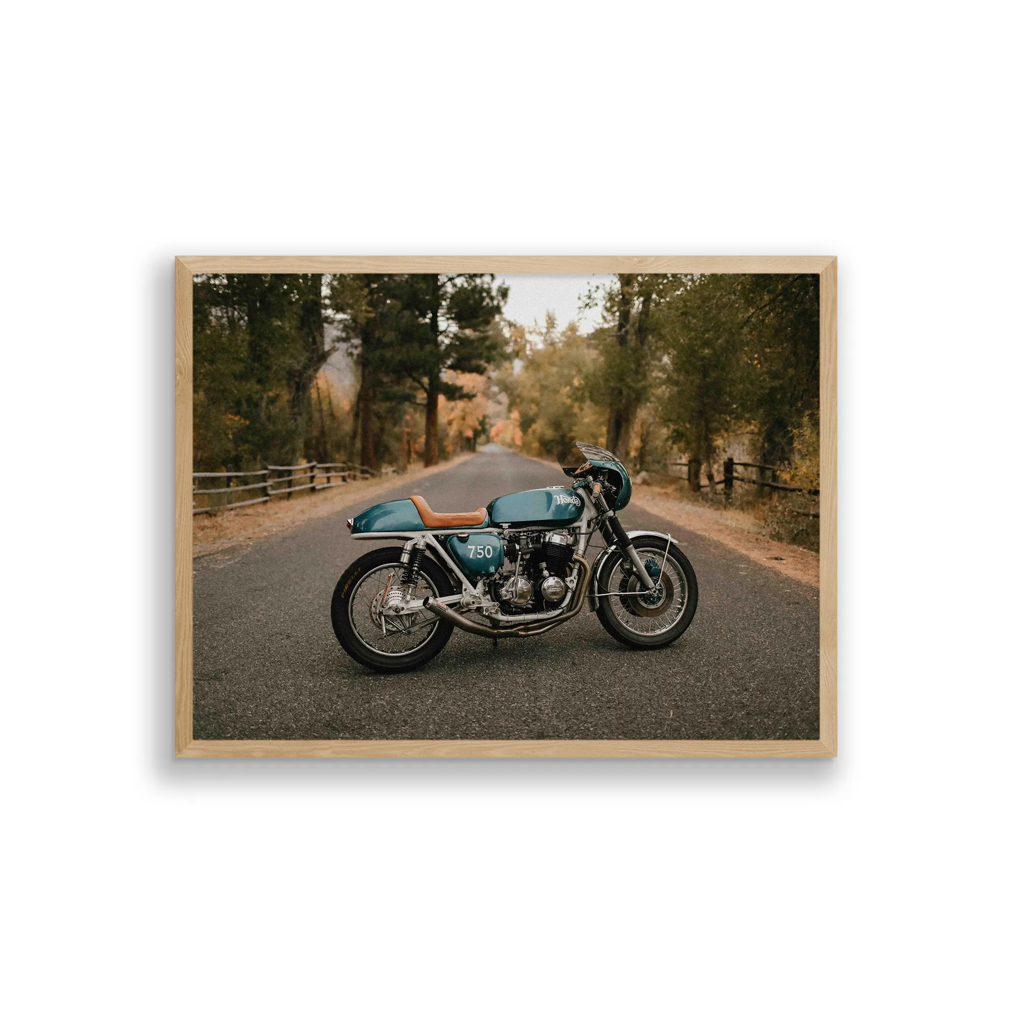 Fine Art Photo Print // Shades of Green