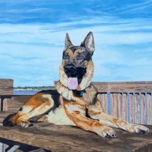 German Shepherd