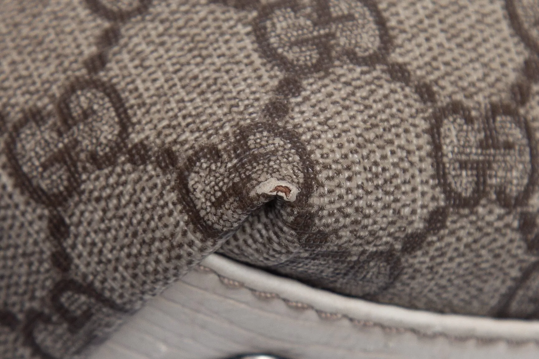 Gucci Monogram Canvas Supreme Tote