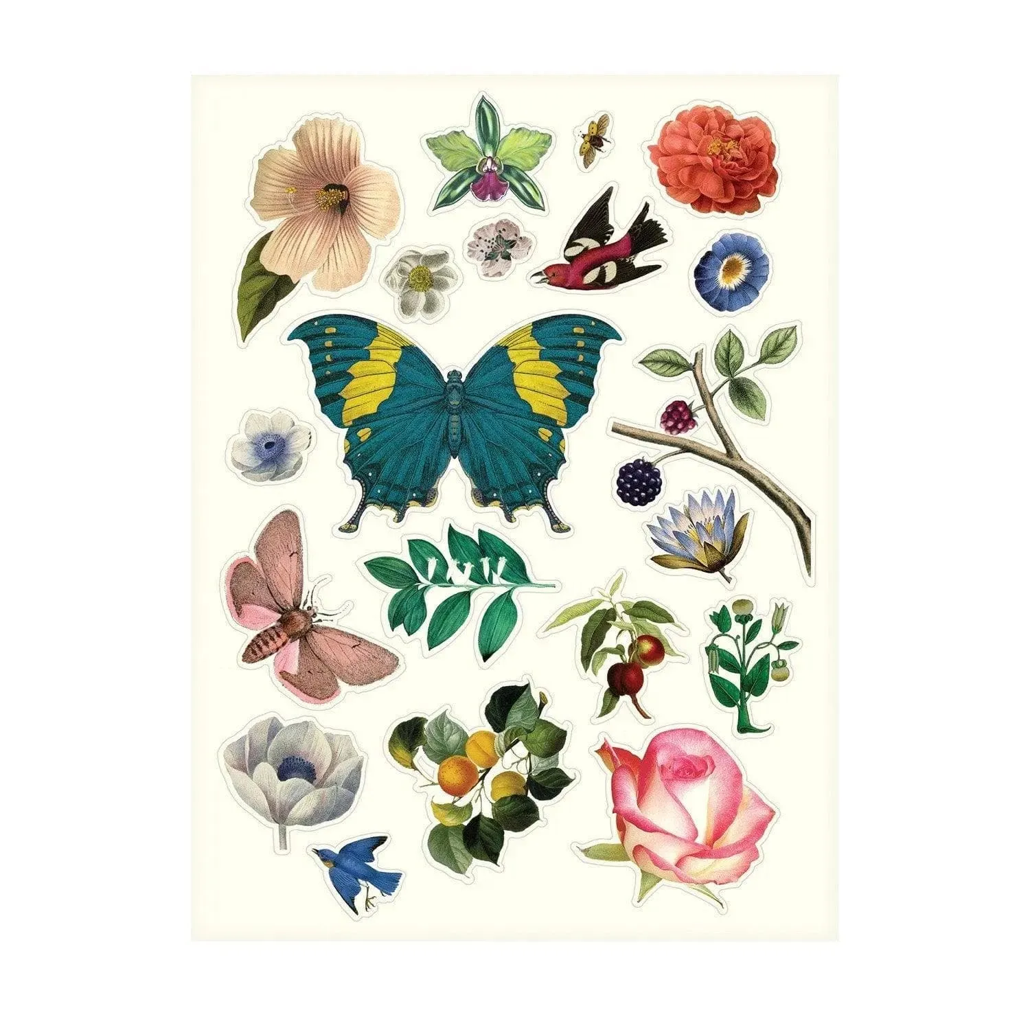 Heritage Collection Les 4 Saisons Boxed Notecards