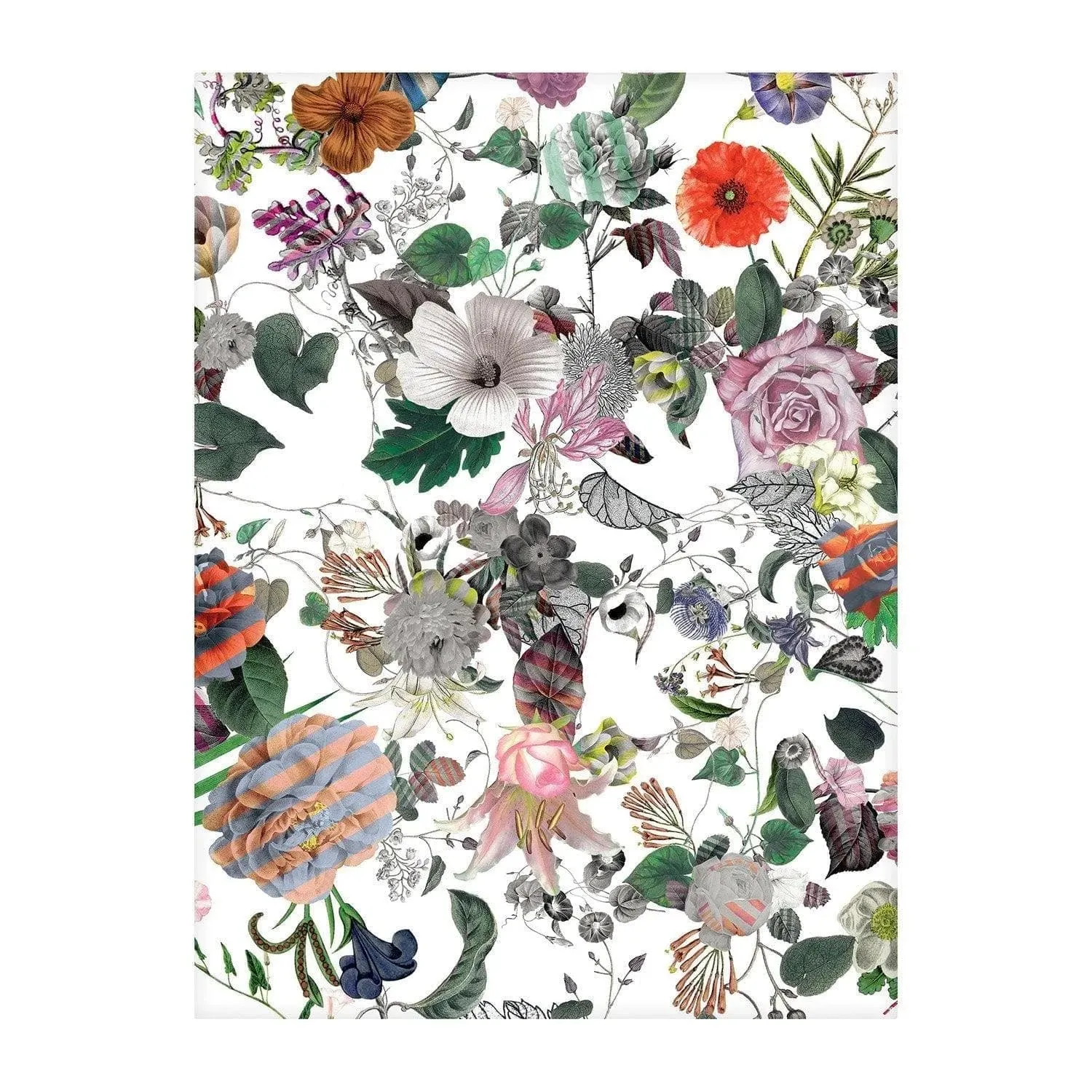 Heritage Collection Les 4 Saisons Boxed Notecards