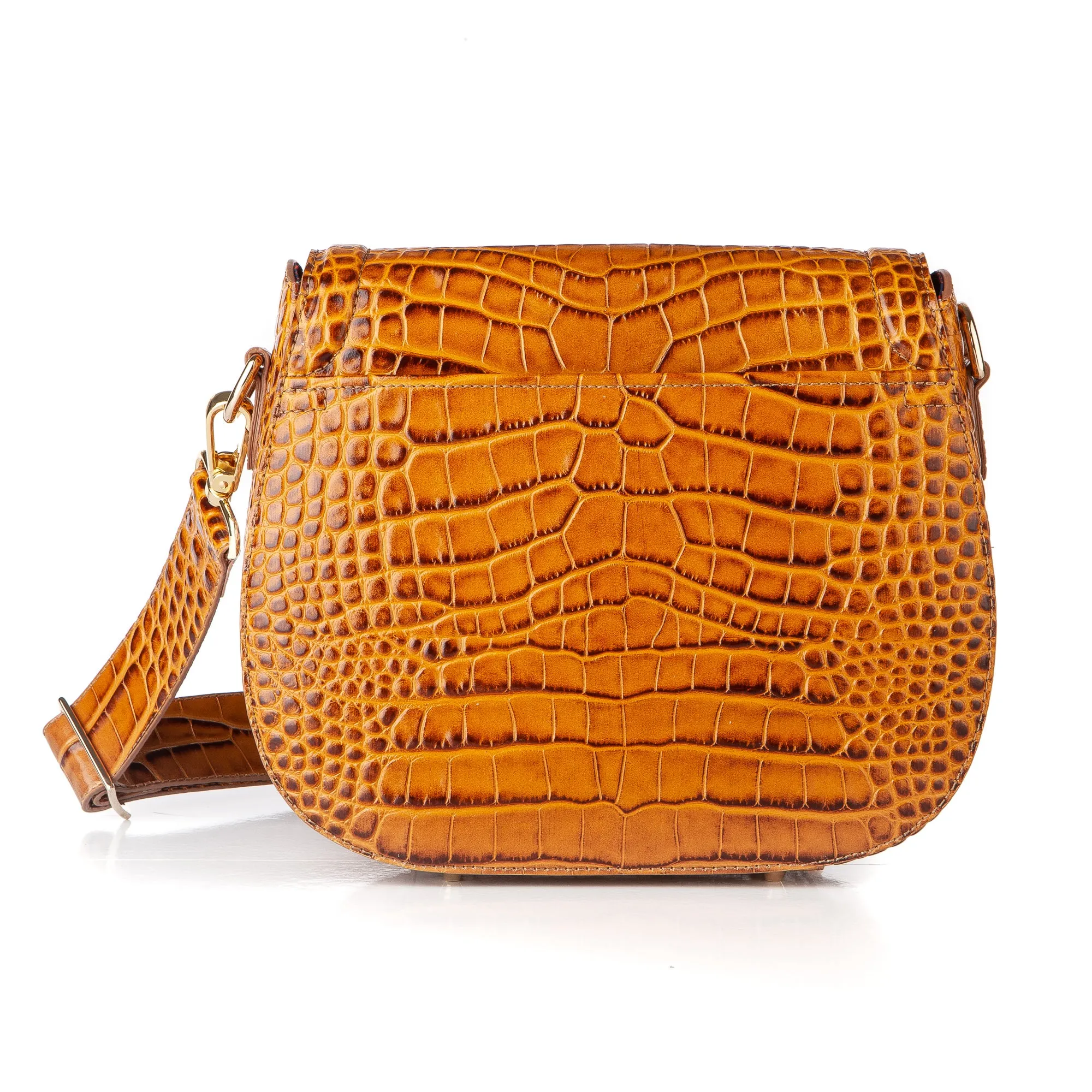 Holmes in Camel Croc