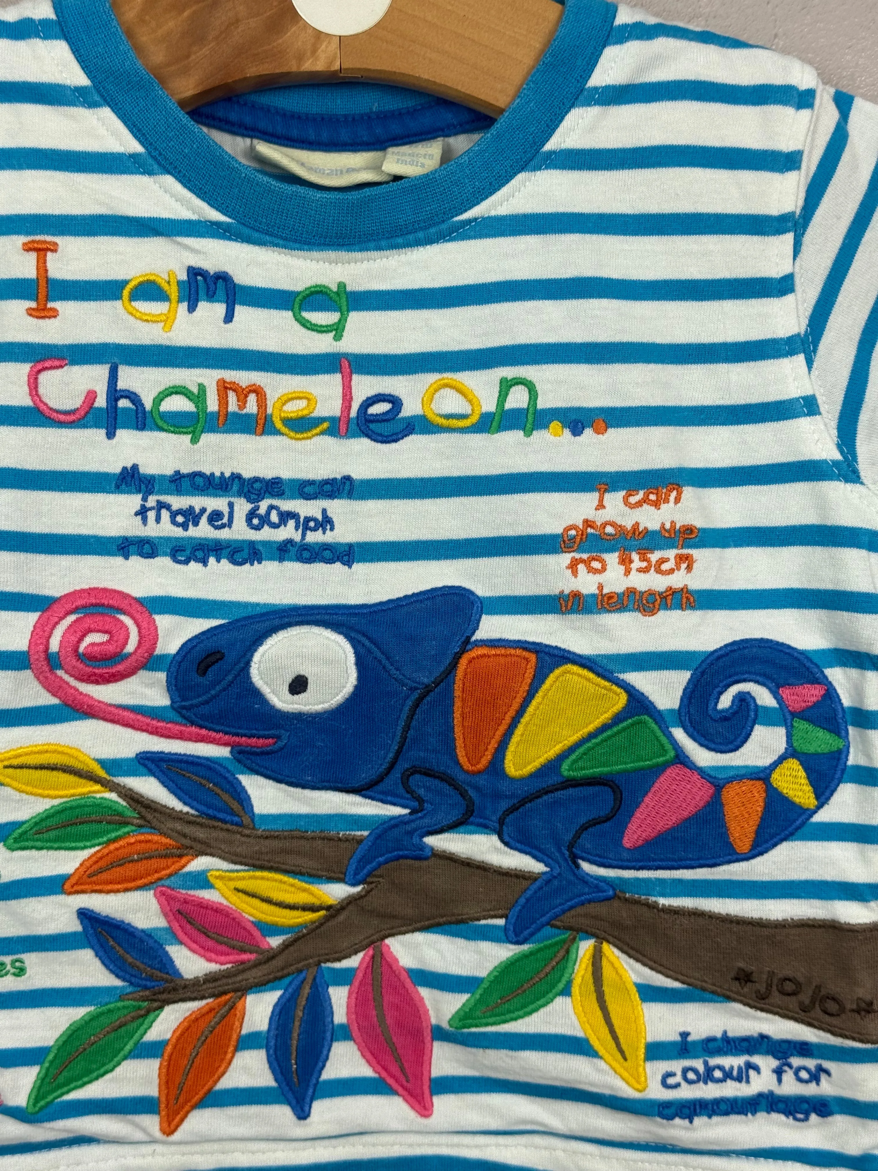 Jojo Maman Bebe Chameleon T-shirt 6-12m
