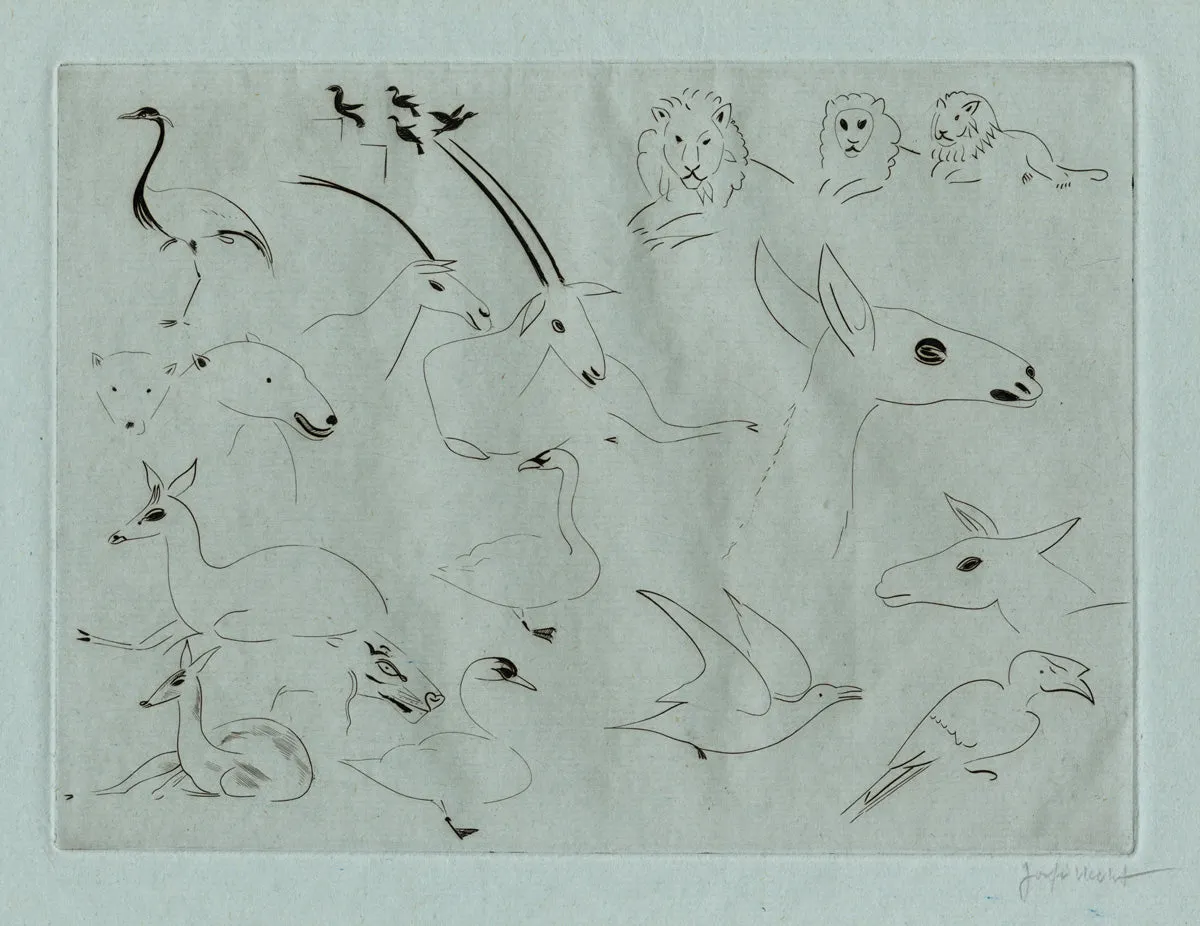 Miscellaneous Animals