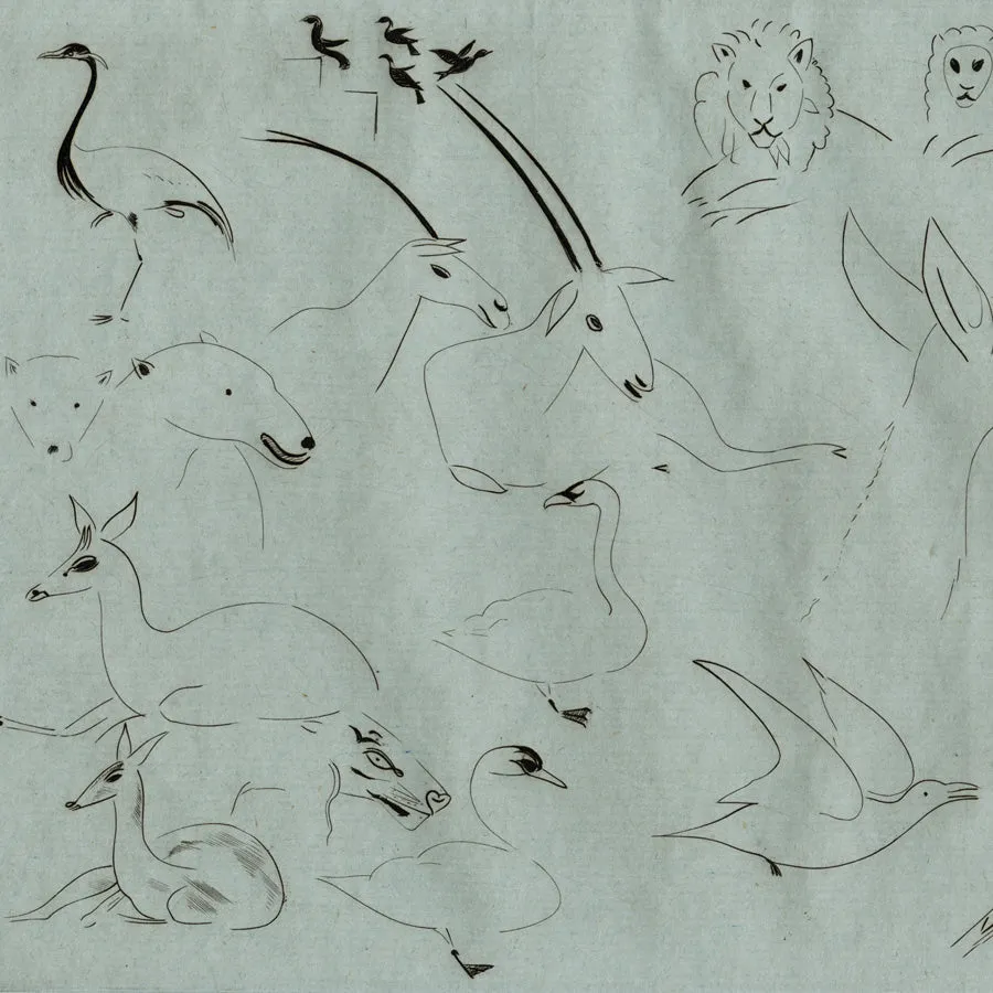 Miscellaneous Animals