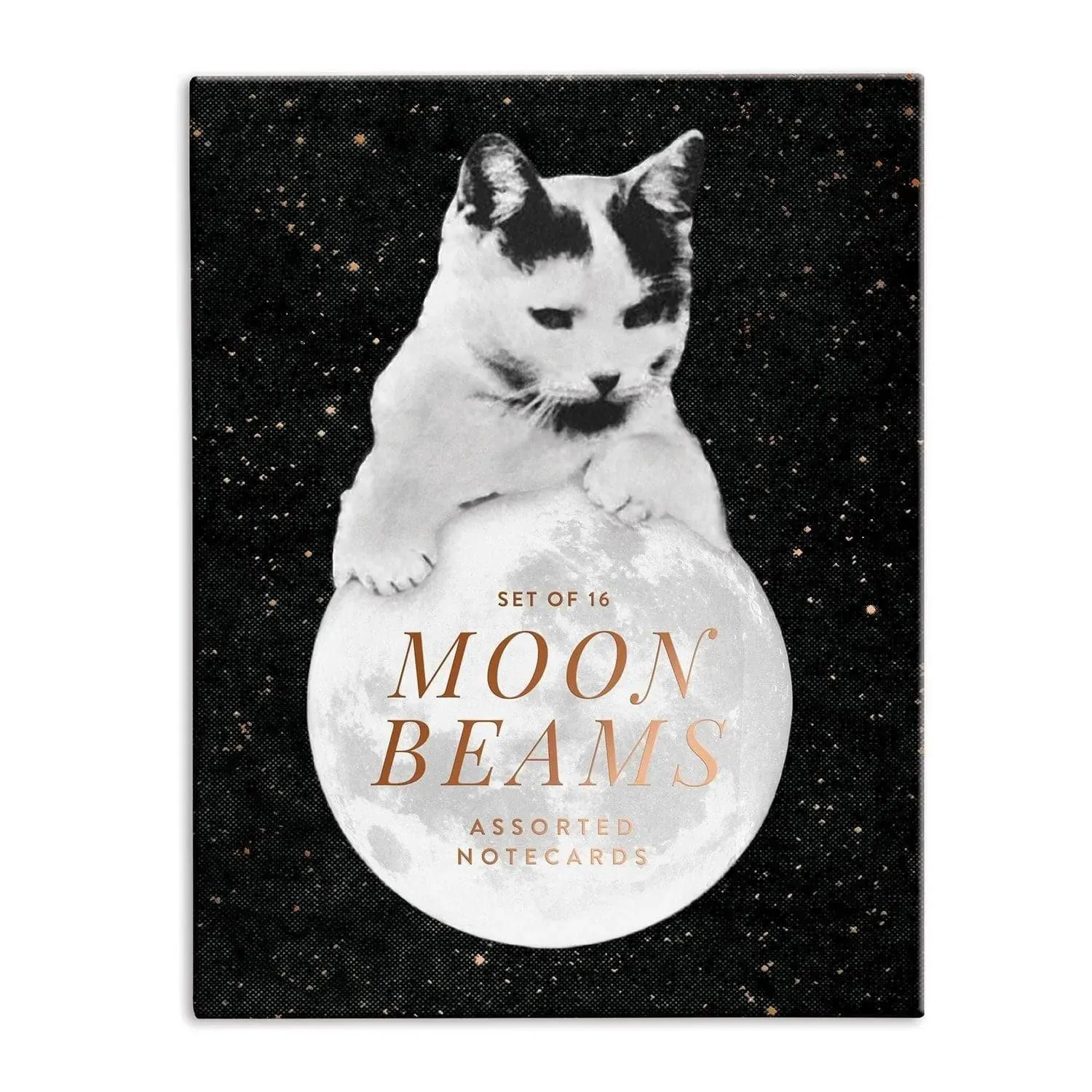 Moonbeams Greeting Card Assortment