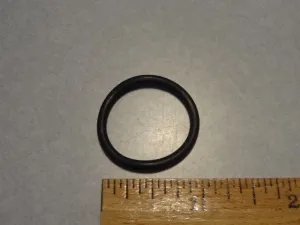 O RING (#90706222)
