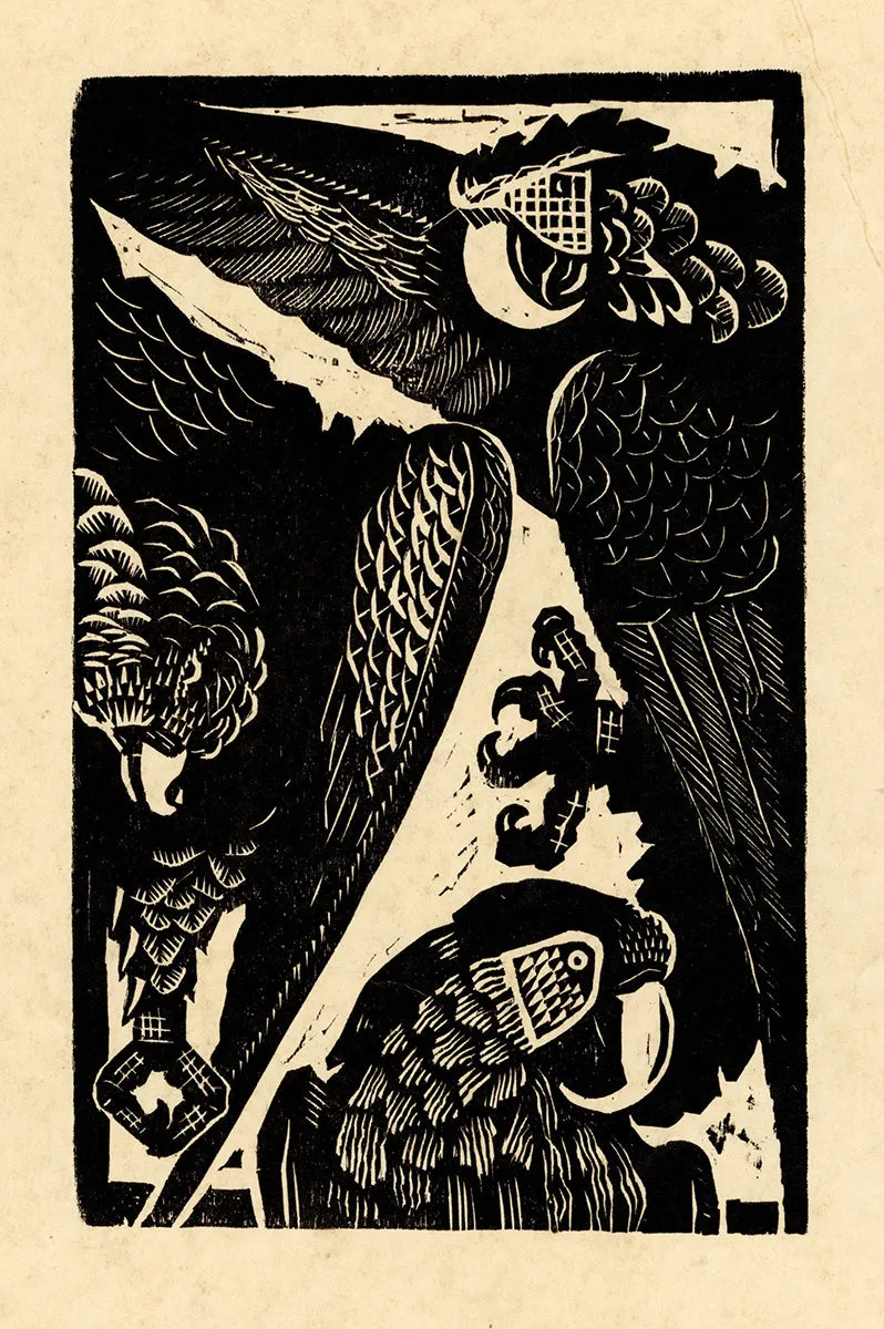 Parrots