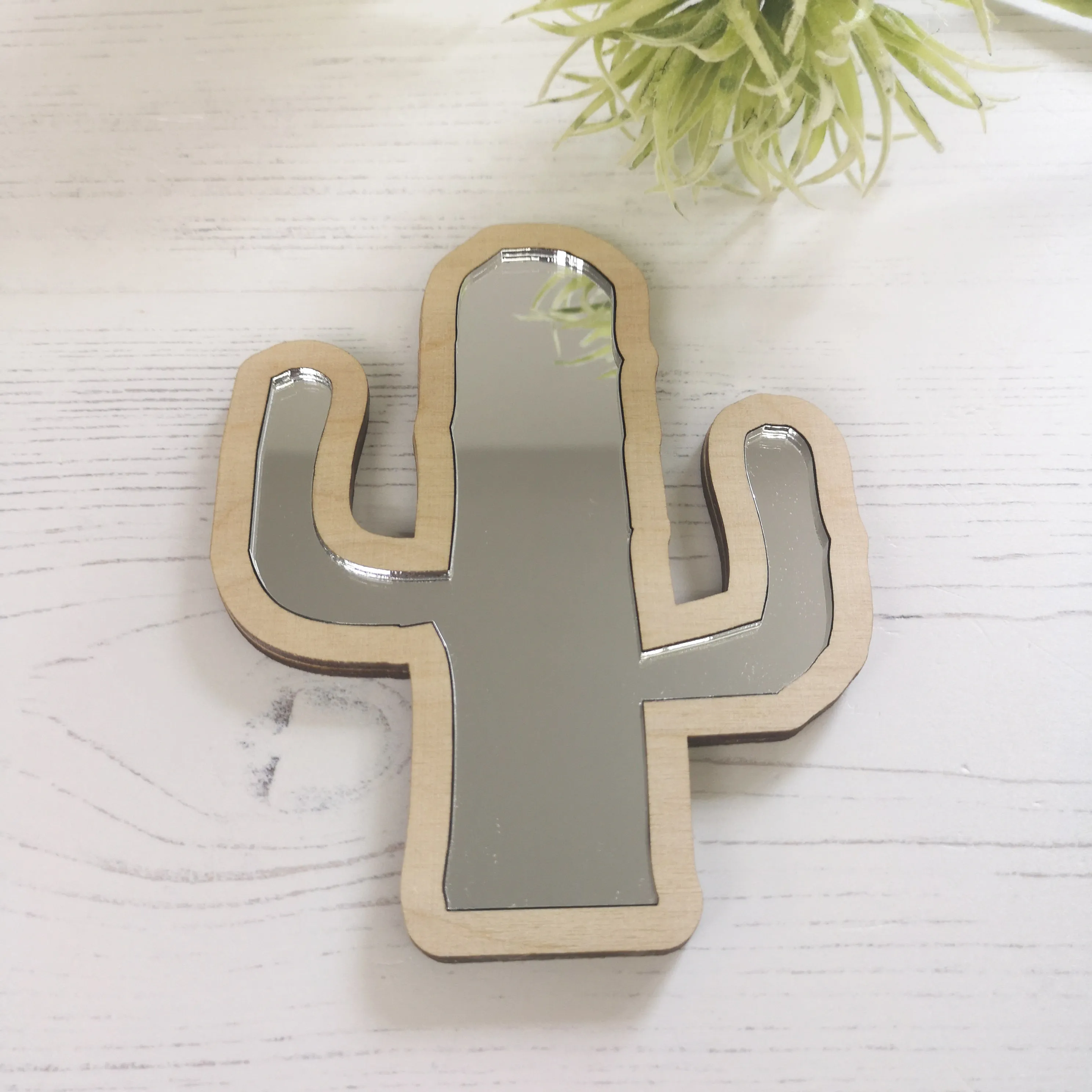 Plywood and Acrylic Mirror - Cactus