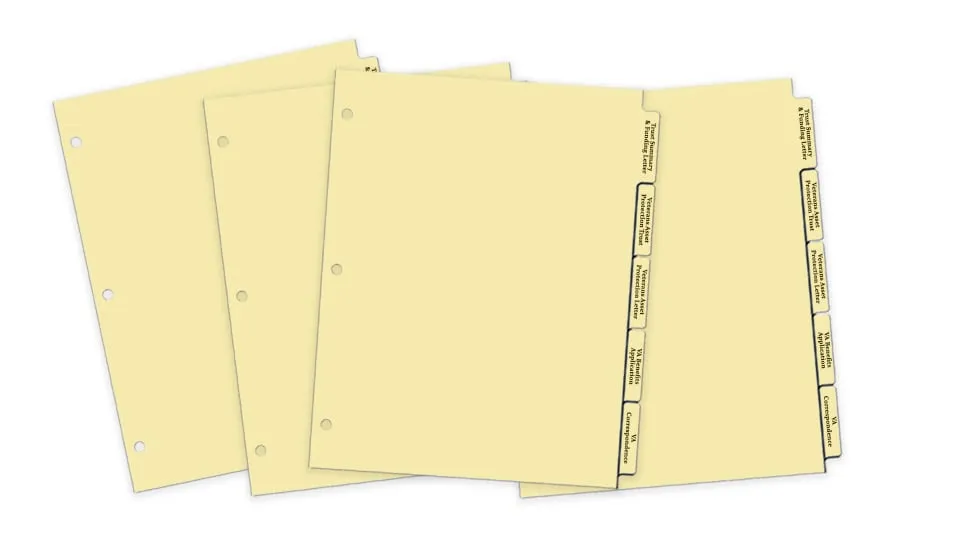 Portfolio Tab Sets (7 Sets)