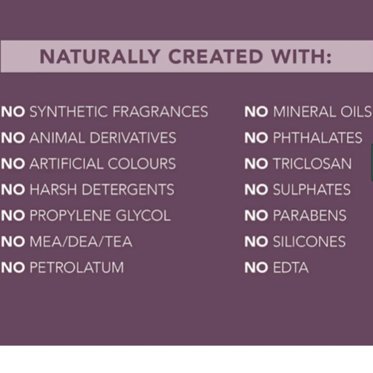 PURELY AGELESS - Hydration Elixir