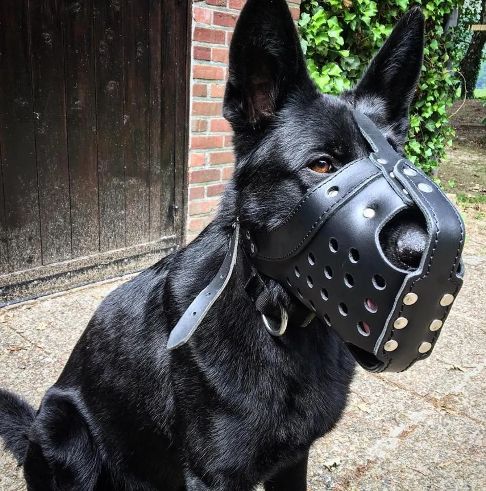 Reinforced Leather Muzzle
