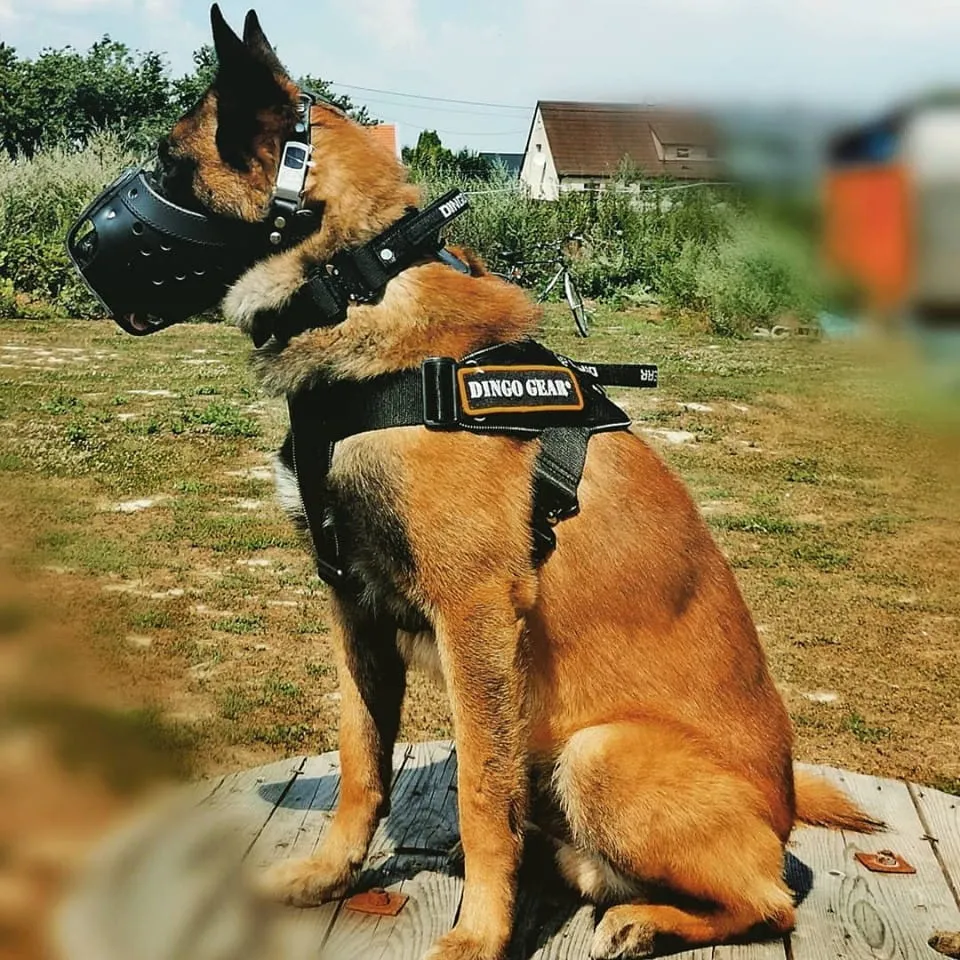 Reinforced Leather Muzzle