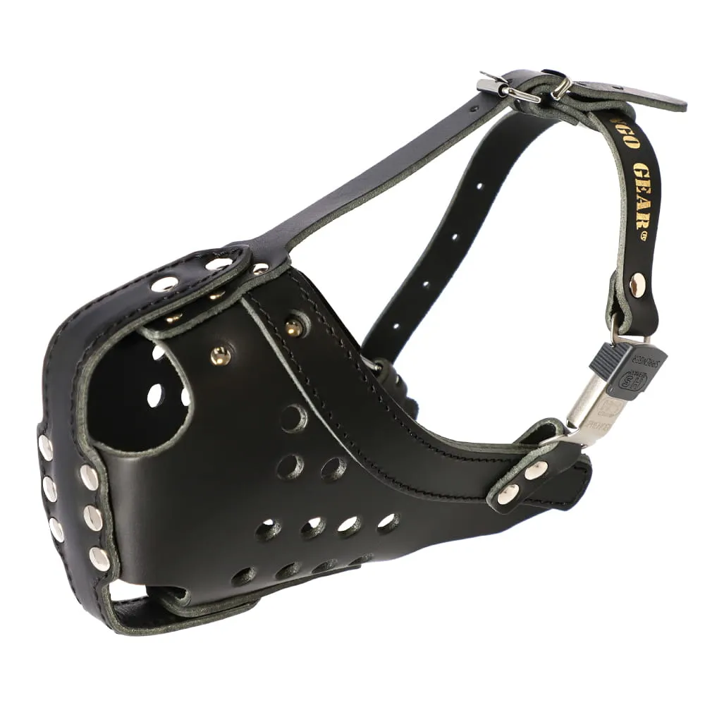 Reinforced Leather Muzzle