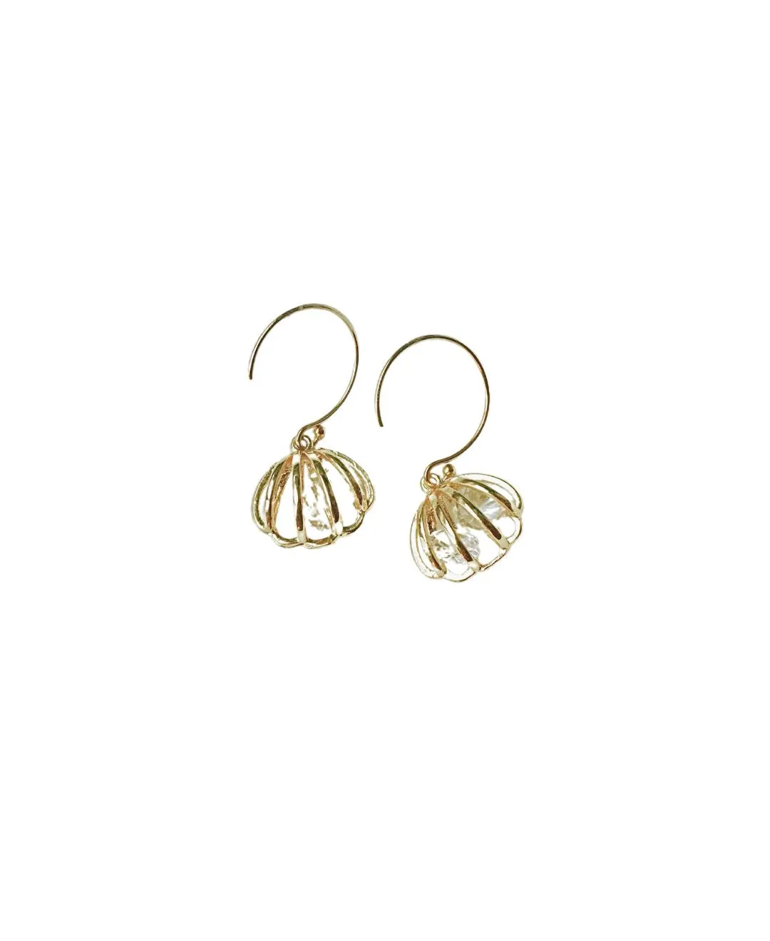 Scallop Earrings