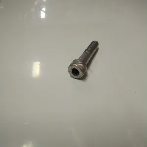 SCREW (#98620440)
