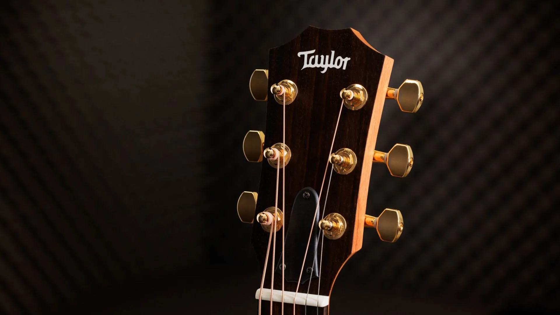 Taylor GS Mini 50th Anniversary