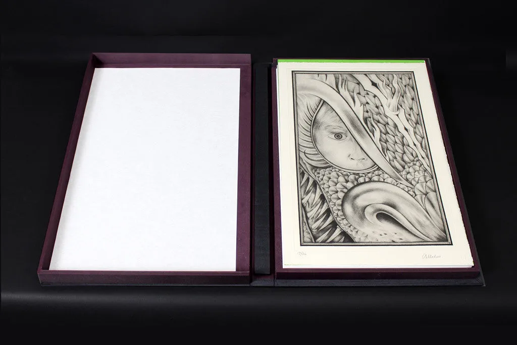 The Eyes of the Dragon Art Portfolio - Lettered Edition