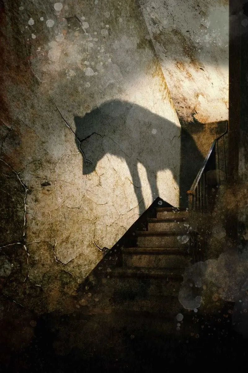 The Wolfen Art Portfolio