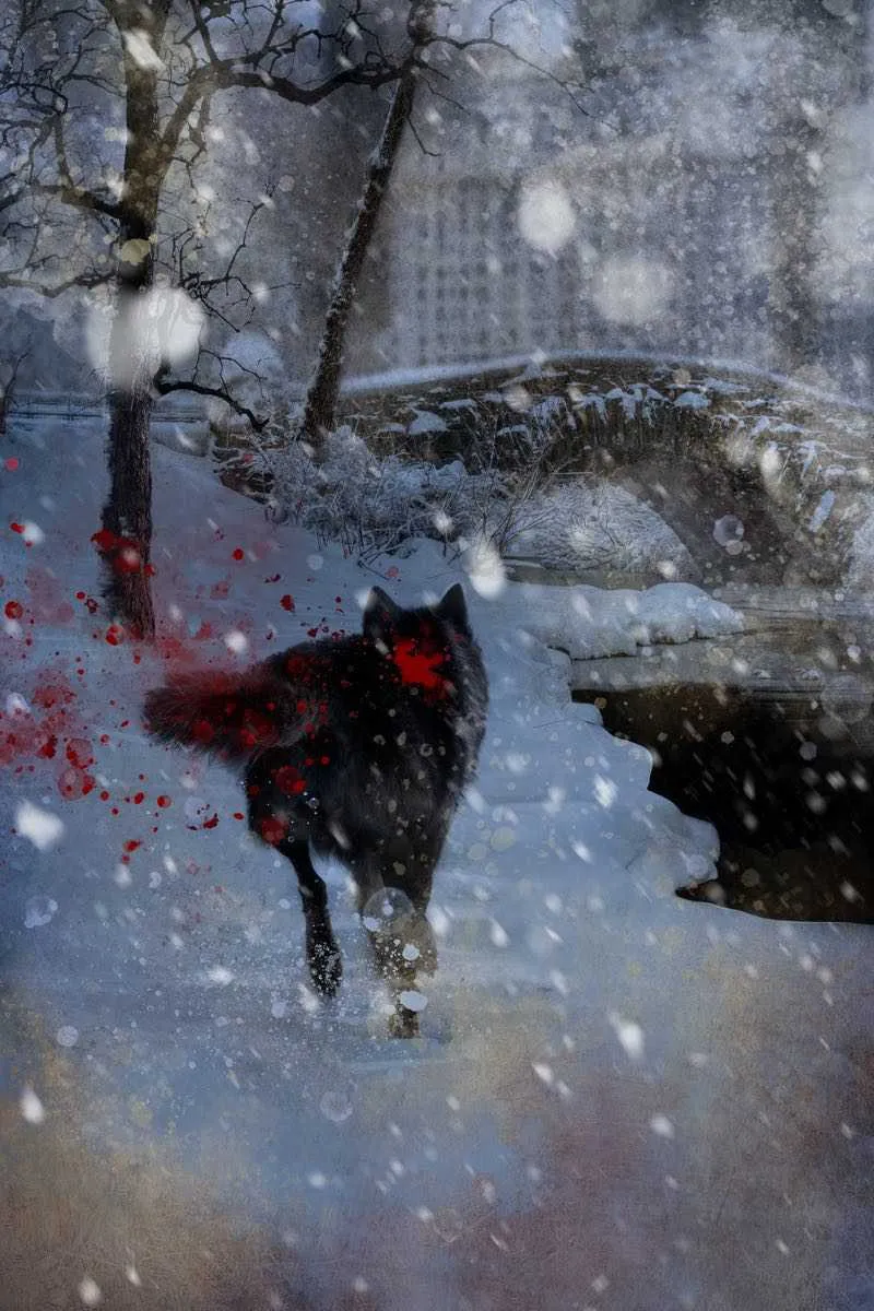 The Wolfen Art Portfolio
