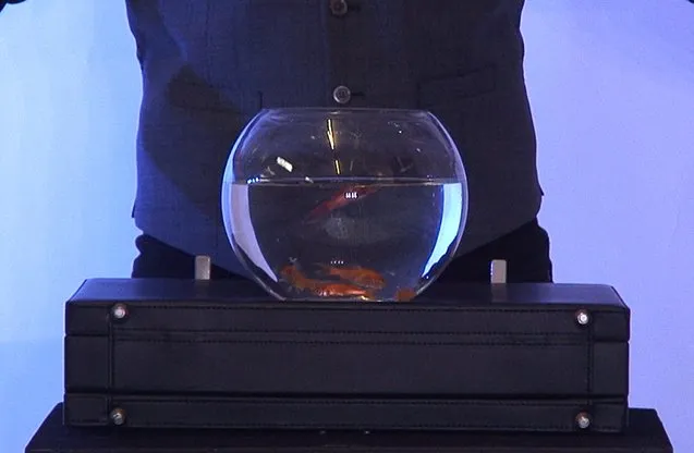 ULTIMATE BOWLING BALL FROM BRIEFCASE by Richard Griffin