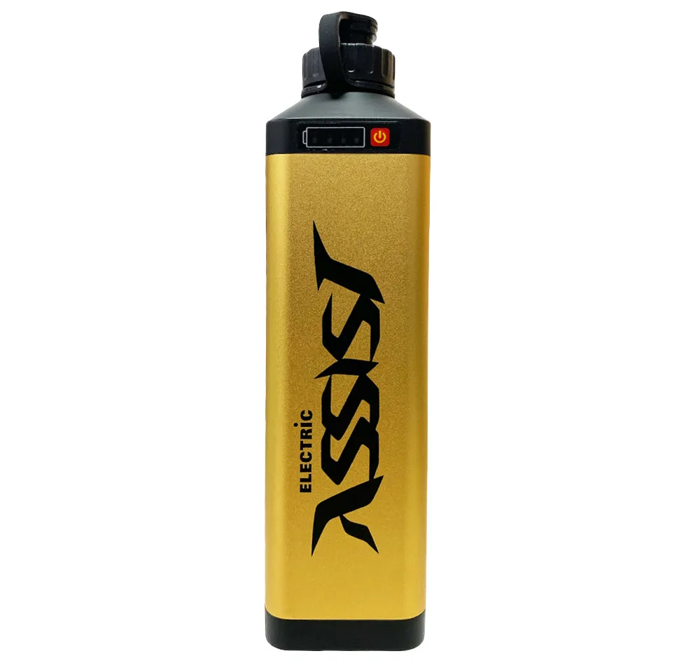 Wilson Electric Assist Battery 10Ah (Battery Only)