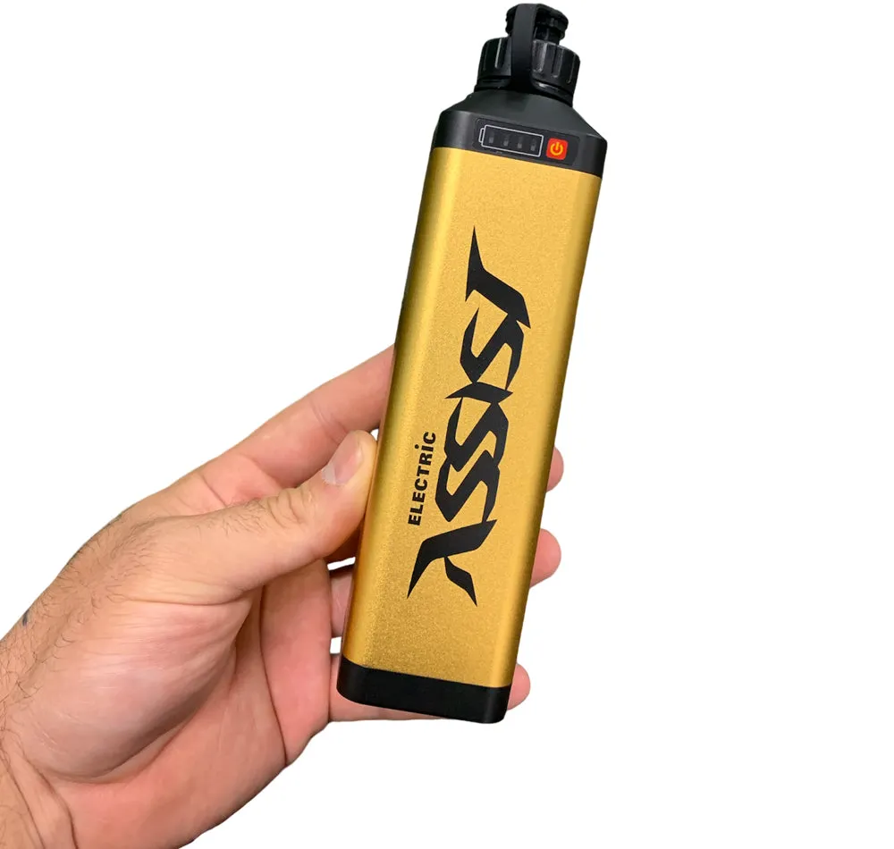 Wilson Electric Assist Battery 10Ah (Battery Only)